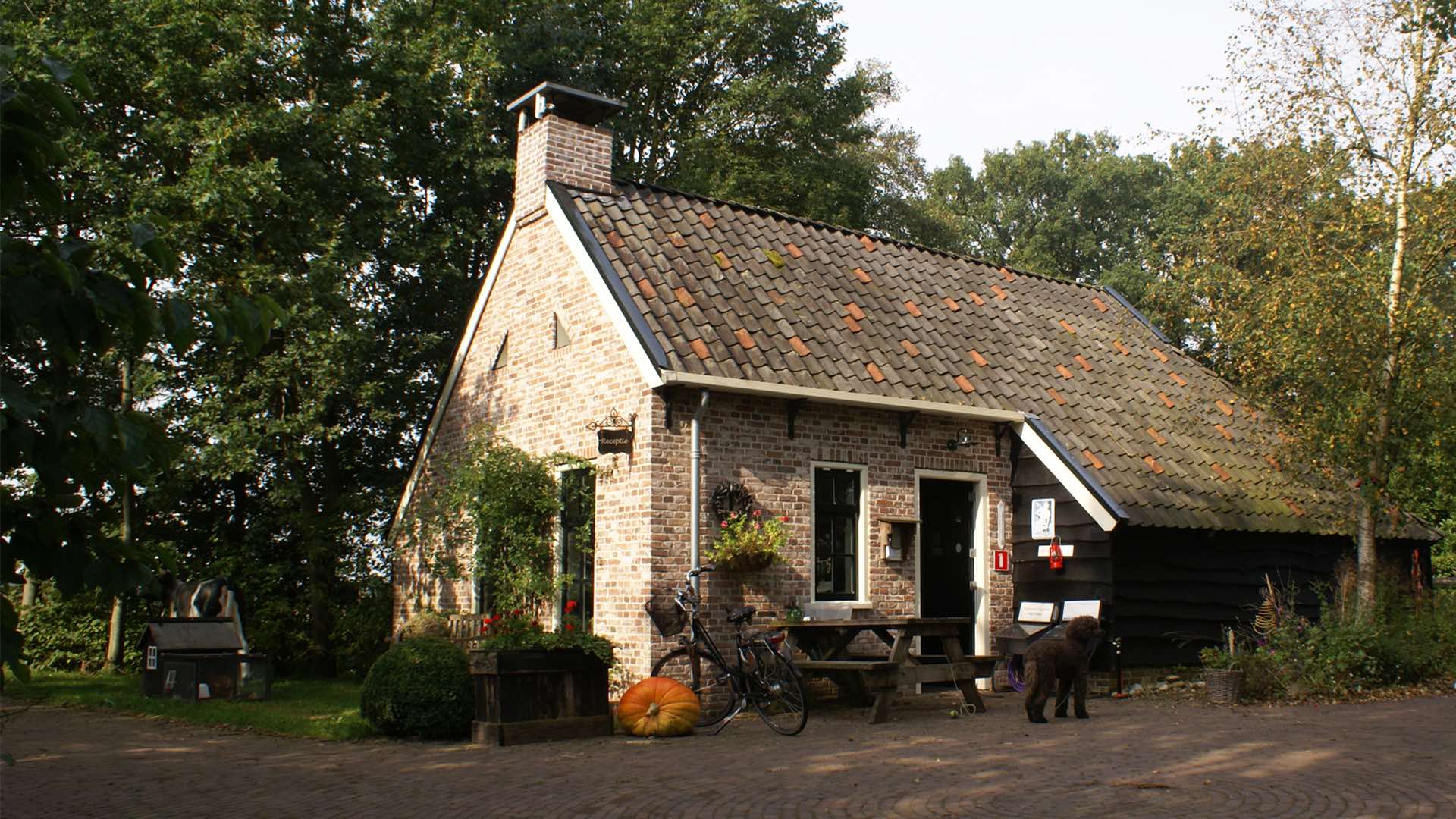 Nieuwbouw receptiegebouw te Ansen