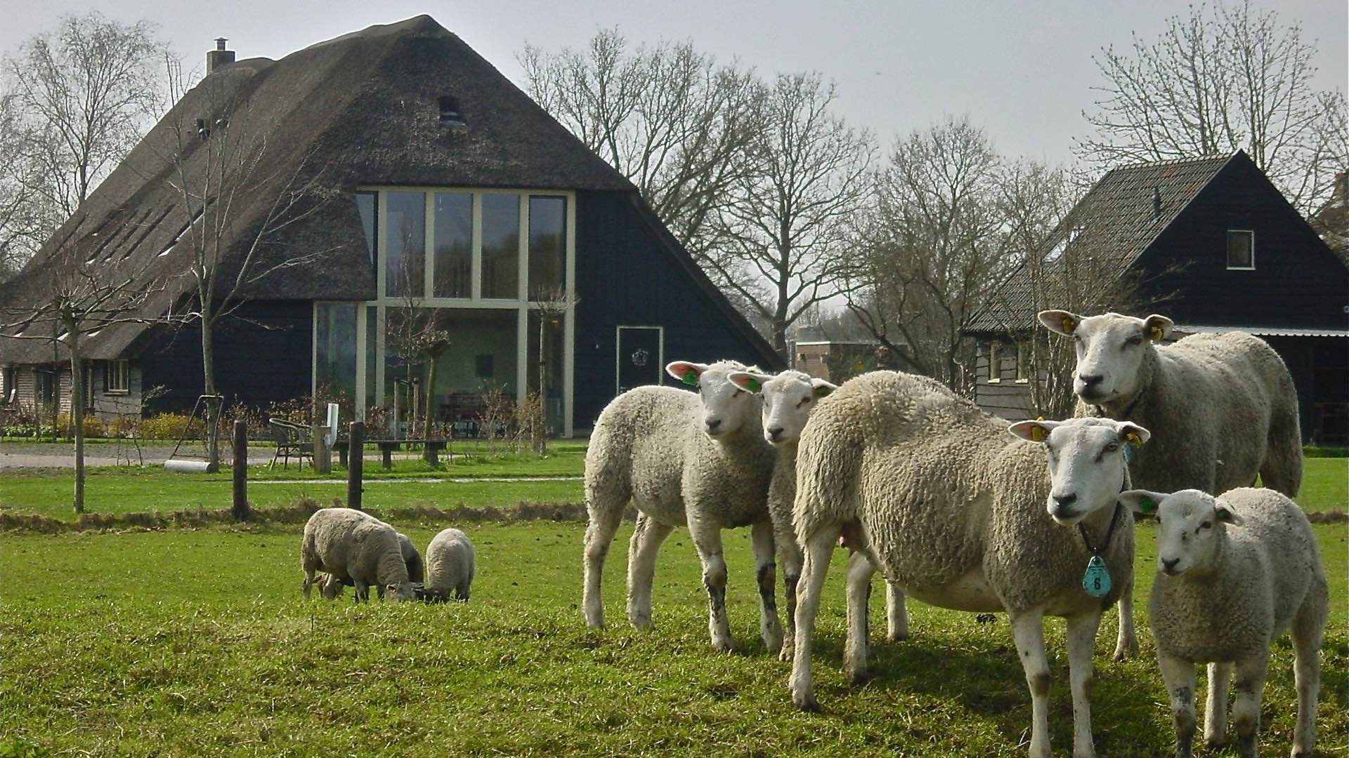 Van boerderij tot groepsaccommodatie